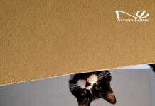 Amare vuol dire non perdersi mai, l’ultimo libro di Roberto Puglisi che venerdì 4 settembre sarà presentato in piazzetta Bagnasco